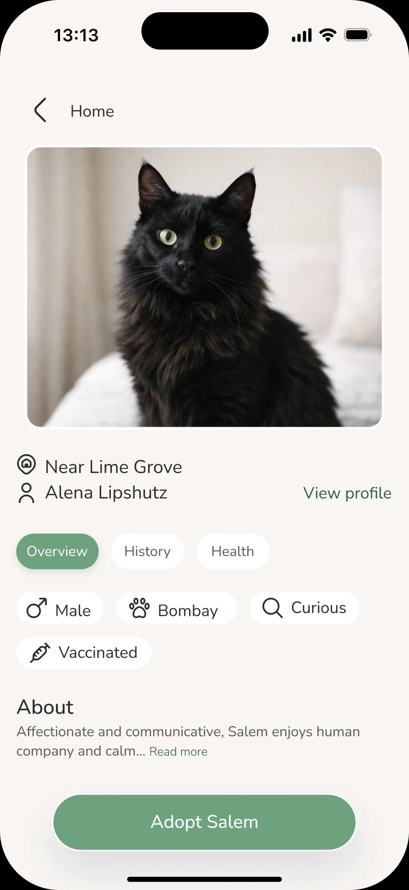ResQ pet profile for Salem