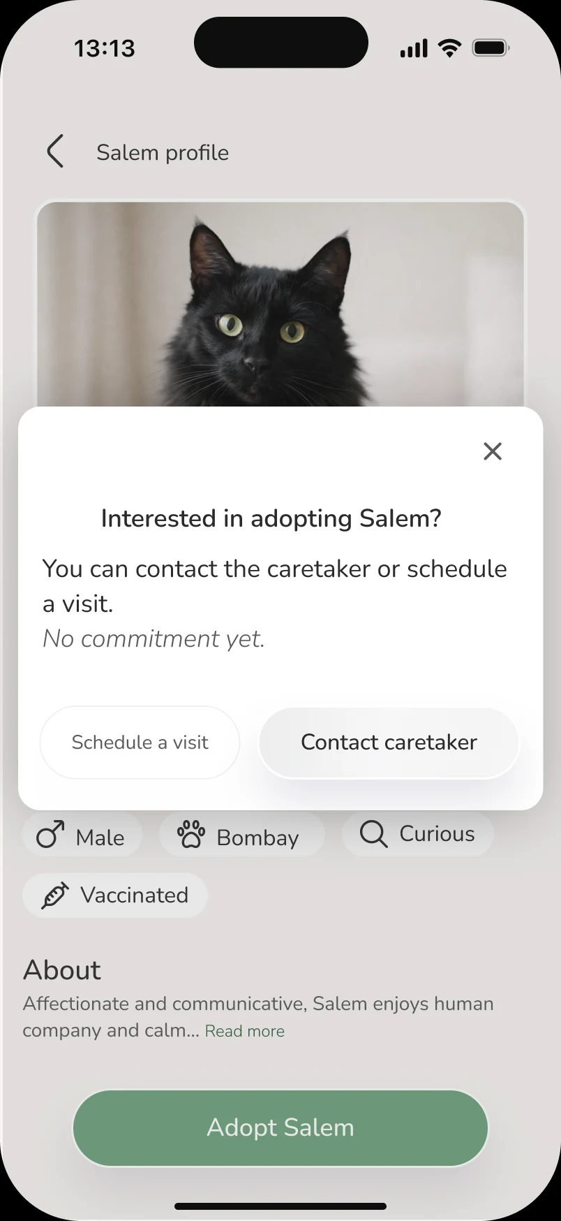 ResQ — Adoption intent