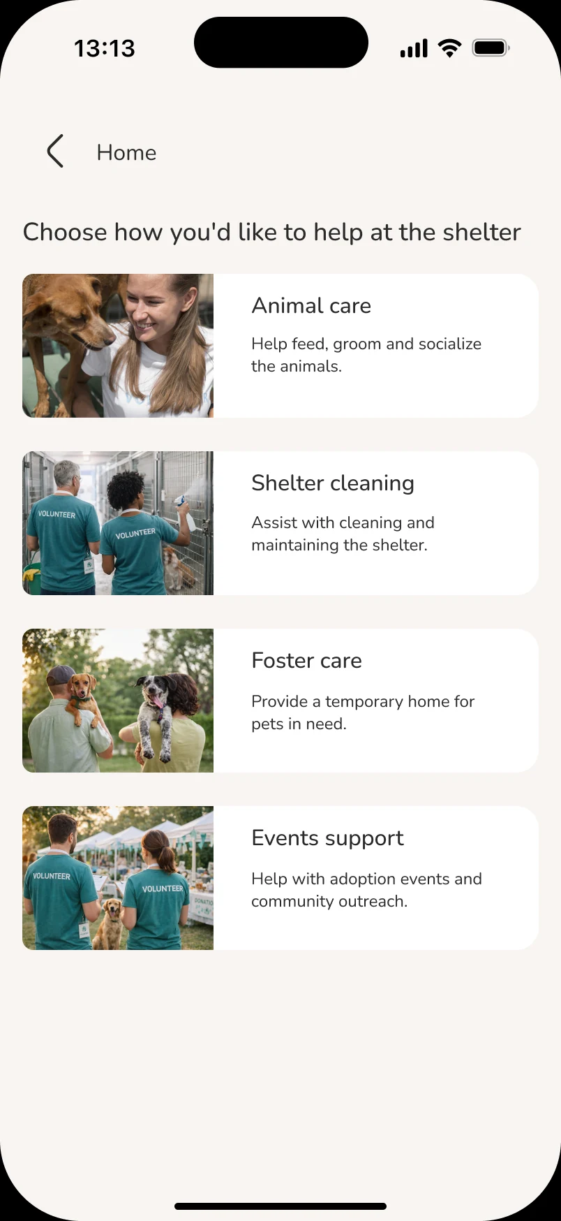 ResQ — Volunteer — roles